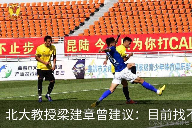 北大教授梁建章曾建议：目前找不到工作的年轻人，可以先结婚生子